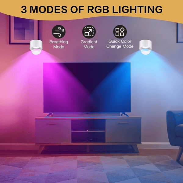 2-pack LED Wall Lamp with Different Light Colors and Remote Control White