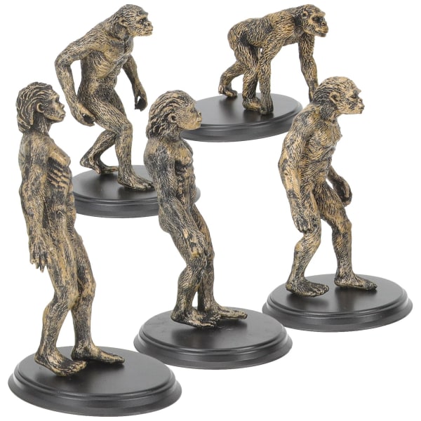1 sett med barn pedagogisk menneskelig evolusjon modell pedagogiske leker Plast ape mann leker10,6x5,7cm 10.6x5.7cm