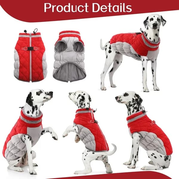 Dog Size L, Red Winter Jacket for Warmth and Reflection, Dog Jacket