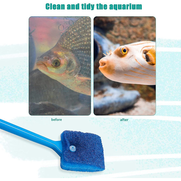 Kaksipuolinen akvaarion akvaariosienen puhdistusharja, pitkävartinen akvaarioleväpuhdistusaine Akvaarioleväkaavin lasiakvaarioille (2 kpl, sininen+gree)