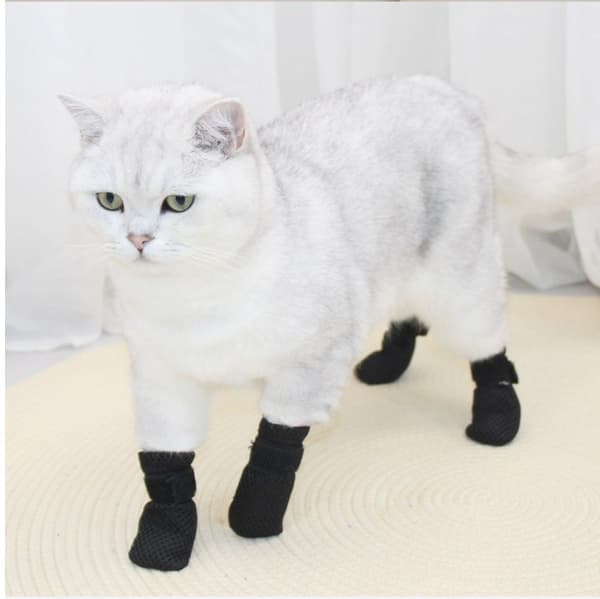 XL Universelle potesko til kat og hund - Sort