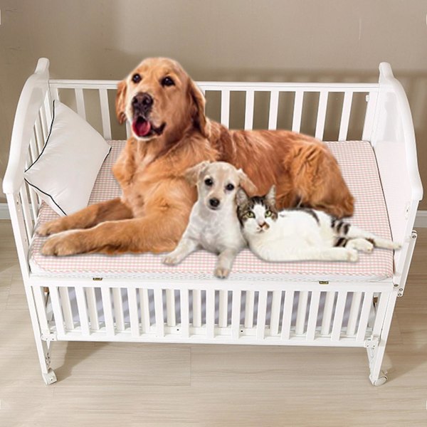 Køleunderlag til Hunde - Baby, Mellemstore og Store Hunde, Genanvendeligt Køleunderlag til Træning og Søvn