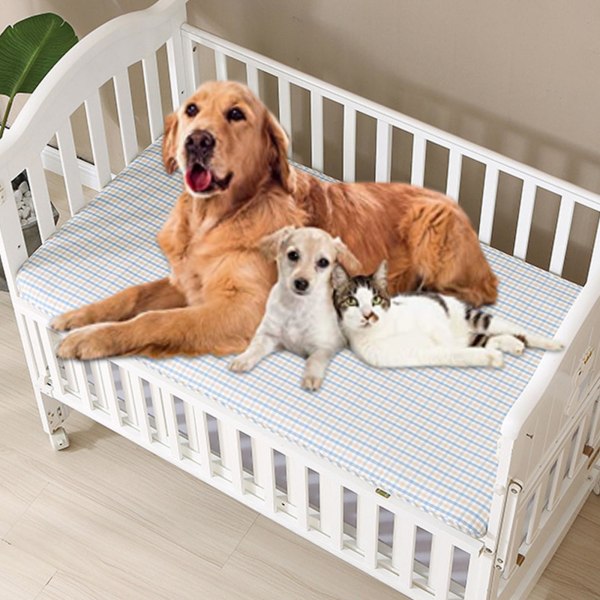 Kjølematte for hund, for små, mellomstore og store hunder, gjenbrukbar kjølematte for trening og søvn