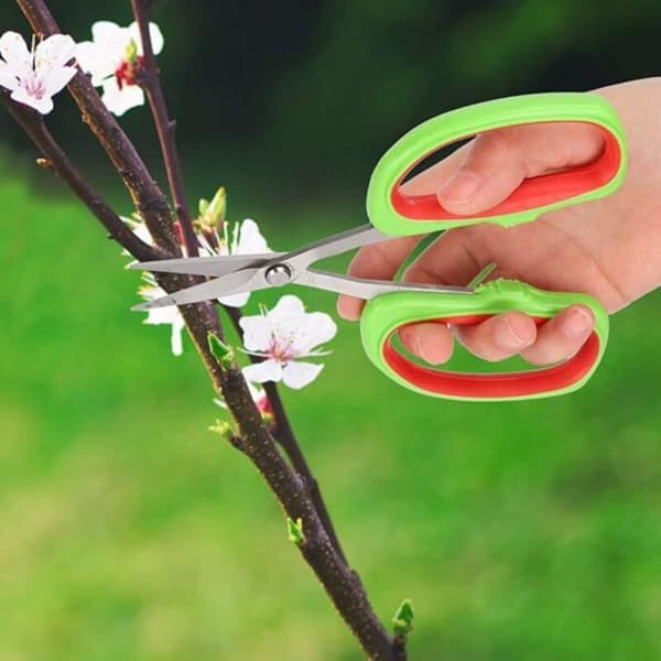 Garden Pruning Shears, Japanese Bonsai Garden Tools, Fruit Tree Branch Pruning Shears, Grape Pruning Shears