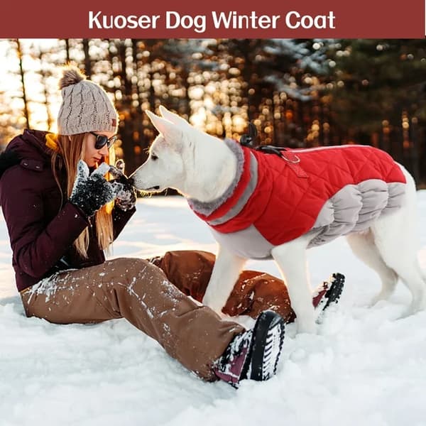 Dog Size L, Red Winter Jacket for Warmth and Reflection, Dog Jacket