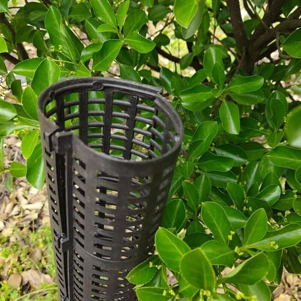 Tree Trunk Protector Net, UV-resistant Polypropylene, 50 cm High, Pack of 3 or 6 Pieces, Pest Protection