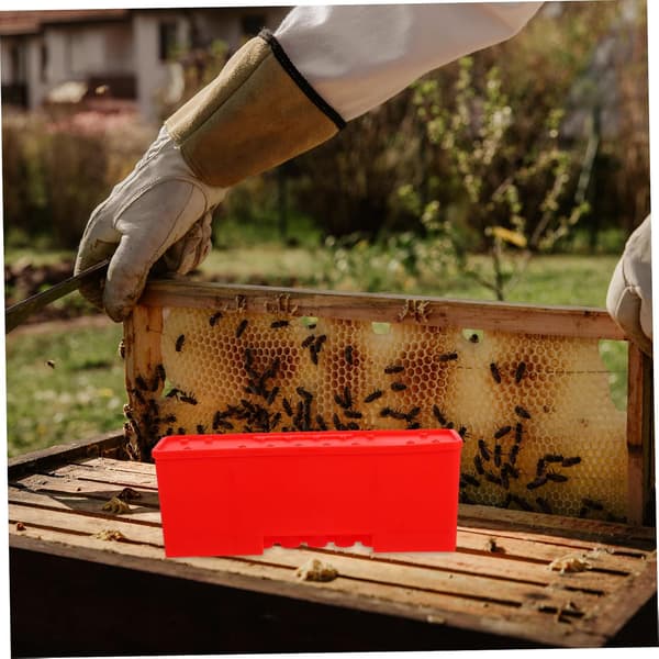 Beekeeping Tools Queen Cages Transport Box Transport