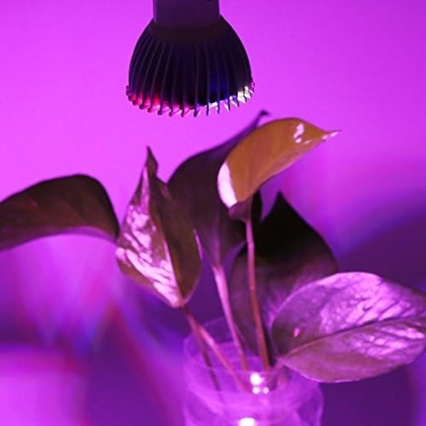 LED Vekstlys Lampe Pære for Blomst Plante - LED Vekstlys Pære, Plante Blomst Hydroponisk Pære Fullspektrum