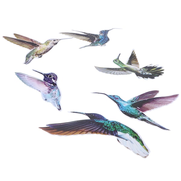 6 stk Fargerike Kolibri Vindudekorasjon Vindu Dekal For Dekor (fargerik)Fargerik20x15cm
