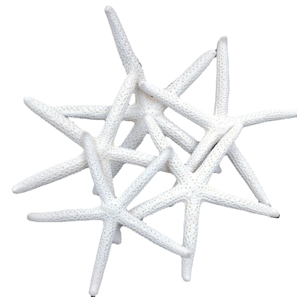 Beige Blyant Finger Starfish For bryllupsdekor, hjemmeinnredning og håndverksprosjekt (6 stk, beige)