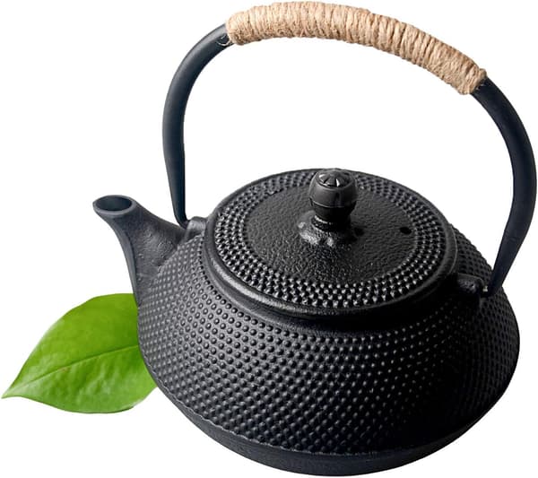 Japanese Teapot Cast Iron with Strainer Insert Black Teapot Asian 0.6l / 600ml