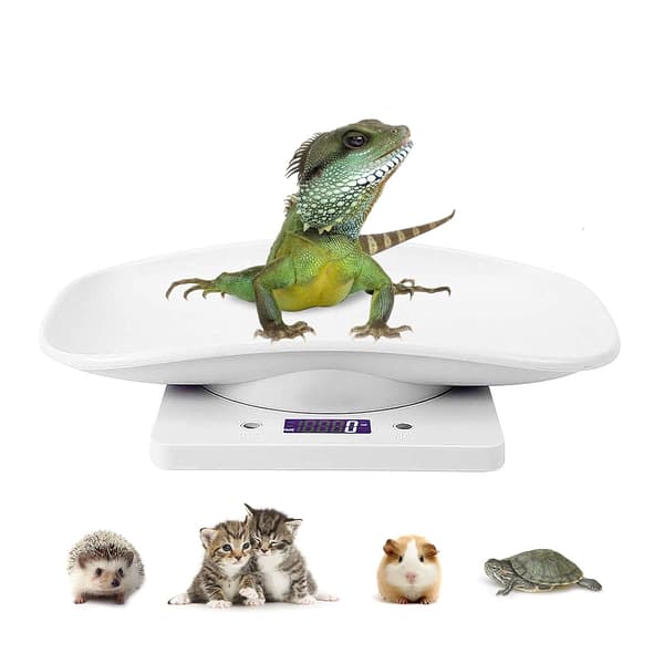 10 kg/1 g digital kæledyrsvægt til præcis vejning