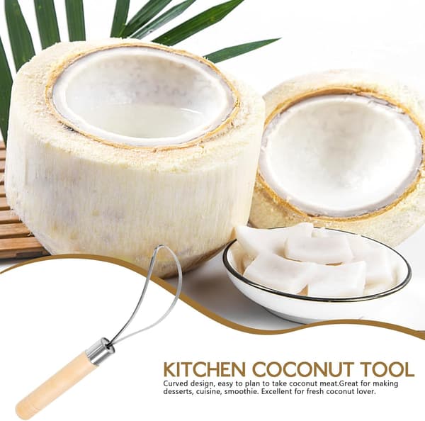 Coconut Meat Removal Tool with Scraper Scales and Easy-to-Clean Synthetic Material