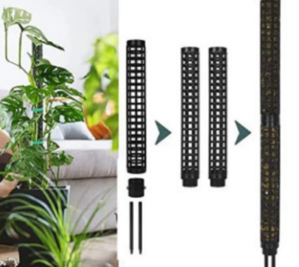 Mosspæle til klatreplanter Sort Svart Sort