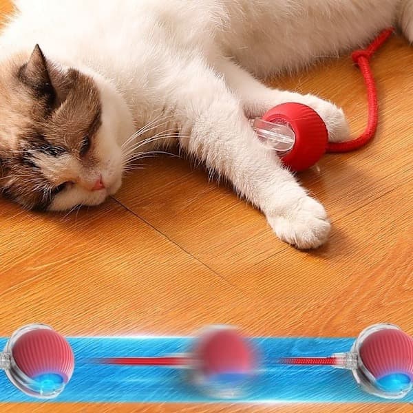 Automatic Bite-Proof Cat Toy with Rope - Self-Sustaining Bouncing Ball Grey/Red gray/red