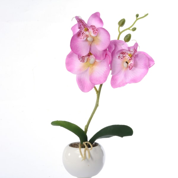 Ruukussa oleva keinotekoinen valkoinen Phalaenopsis-orkidea - pöytäasetelma - violetti