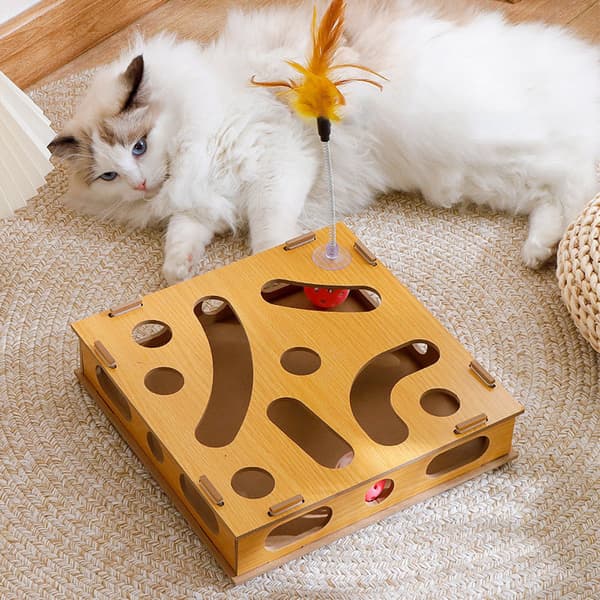 Cat Puzzle Box for Claws, Interactive and Fun Cat Game with Teasing Stick and Bell Ball