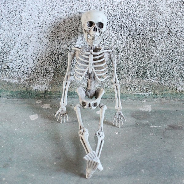 Halloween Skelet Fuldkrop Realistisk Menneskelig Plastikknogler til Halloween Indendørs Udendørs Spooky Scene Party Favors