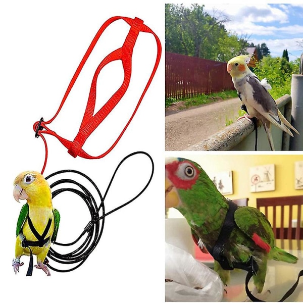 Pet Papegoja fågelsele koppel Justerbar flygande fågelsele Dragrep med söt vinge för papegojor Utomhusträningsleksak L Röd