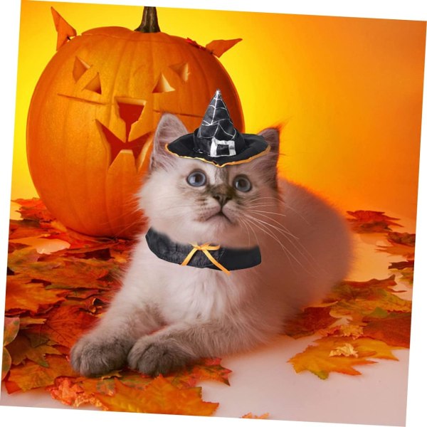 Häxadräkt Lila Accessoarer Halloween Kostymer cappy hatt katt Kostym Lila  Hund Dräkt Hund hatt Hund Halloween hatt p 9f65 | Fyndiq