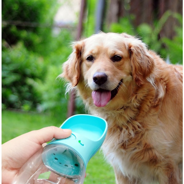 Hundvattenflaska, bärbar läckagesäker valpvattenbehållare med husdjursmatare för utomhuspromenader, livsmedelsklass (grön, 550 ml)