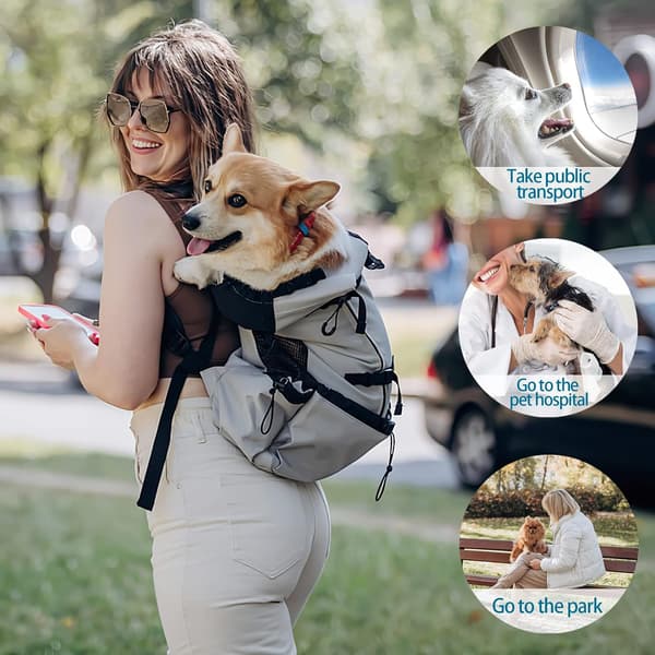 Dog Backpack, Adjustable Portable Dog Carrier Backpack, Ventilated Pet Backpack, Pet Backpack for Outdoor Climbing Walking (S, Blue)