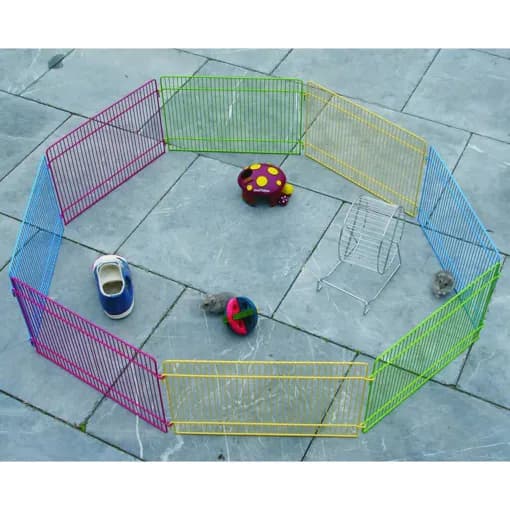 Färgglad lekhage för gnagare h 23 cm