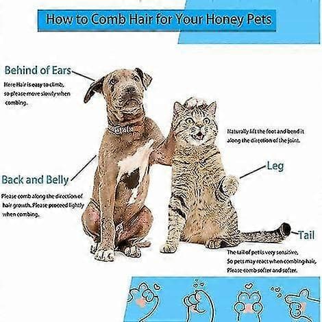 Kat- og hundebørste, selvrensende børste til døde hårstrå til kat og hund, selvrensende børster til katte- og hundepleje