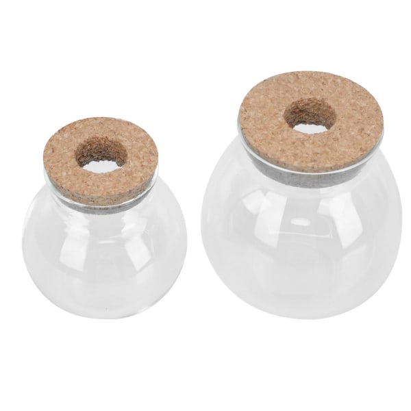 2 kpl Kasvien Koristeluun Sopiva Dekoratiivinen Lasipullo Kasvi Ruukku Kirkas Pullo Kultakala Akvaario Sekalaiset Värit 14x13cm