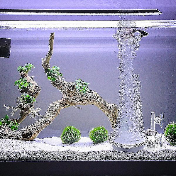 En Akvarie Luftsten Til Akvarium Med Sugkop Høj Opløst Tiny Bobler Ovn Oxygen Diffuser