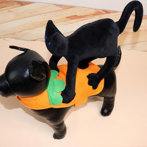 XL Halloween Party Hundekostume Lille Mellem Størrelse Kæledyr Sort Kat Kostume Foto KostumeXL