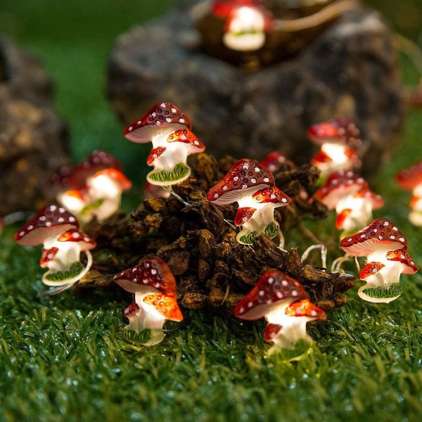 Mushroom Led String Lights - 10ft 30leds batteridrevne Princess Lights For Girls Soverom, Bryllup, Utendørs Dekor