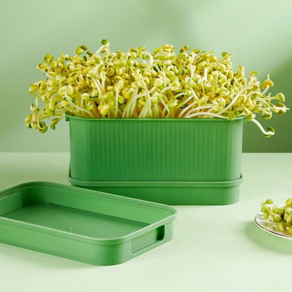 Seed Sprouting Kit with Drainage Holes and Drainage Tray, Upgraded Stackable Tray for Microgreens, Fresh Organic Bean Sprouts 1pc 1pc