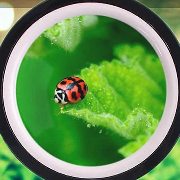 Magnifying Glass 20X, Large Magnifier with Light, LED Illuminated Handheld, Premium High Power Magnifier