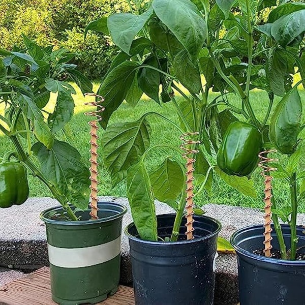 6 pakke kobberhageinnsatser, elektrokultur hagearbeid Kobberspiralantenner for dyrking av hage, innendørs planter og grønnsaker