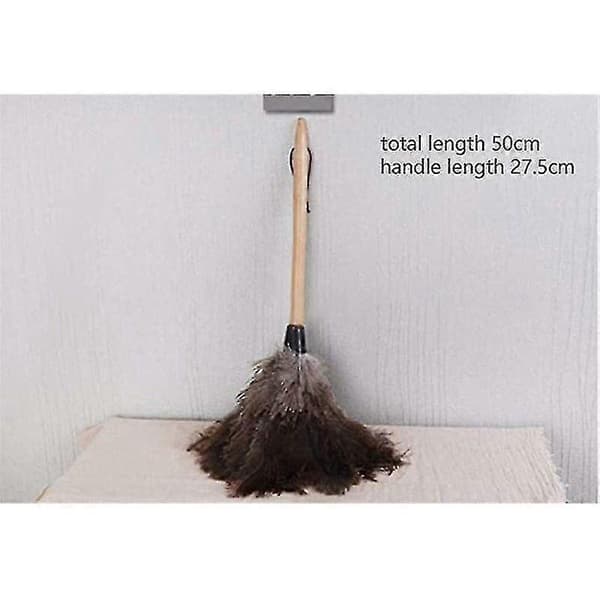 Feather Duster for Home & Office - Natural Ostrich Feather, 32cm