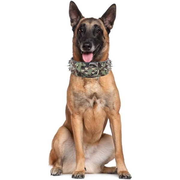 Sharp nitterhalsbånd 2 tommer bredt, stilfuldt læderhalsbånd til mellemstore hunde, Pitbull, Labrador, Boxer (Gyldenbrun, S)