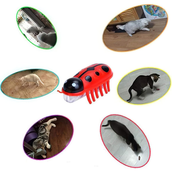 Katt Leksaker Interaktiva, Mini Elektronisk Robot Skalbagge Rolig Katt Leksak, Katt Bug Utbildningsleksak för Inomhuskatter Kattunge Lek Jaga Träning, 2 st