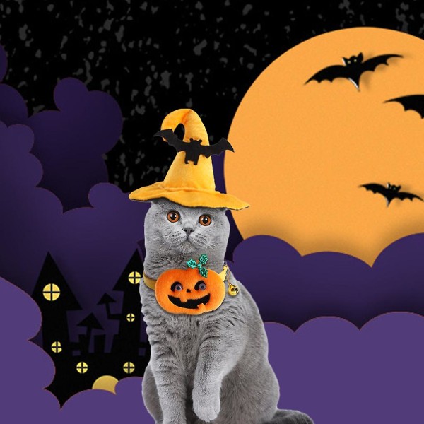 Halloween-heks hat og halskæde til kæledyr - troldmandshue til hund - showkostume - gaveM