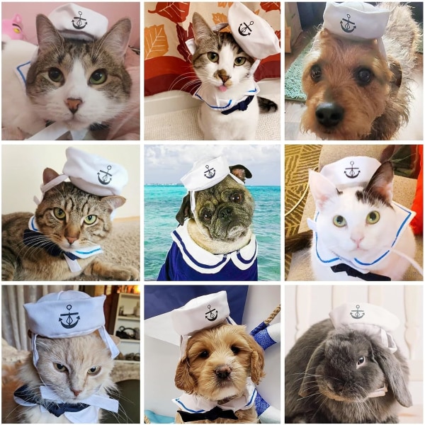 Sjömansdräkt för katter Små hundar Halloween katt sjömanshatt med slipskrage Doggy Marinblå outfit Cosplaykläder