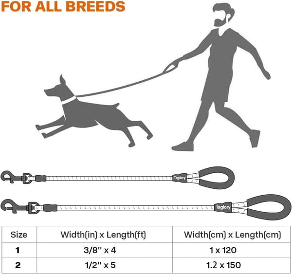 Durable Dog Leash 1.5m Reflective Padded Handle for Medium and Large Dogs Black