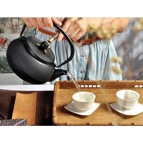Japanese Teapot Cast Iron with Strainer Insert Black Teapot Asian 0.6l / 600ml