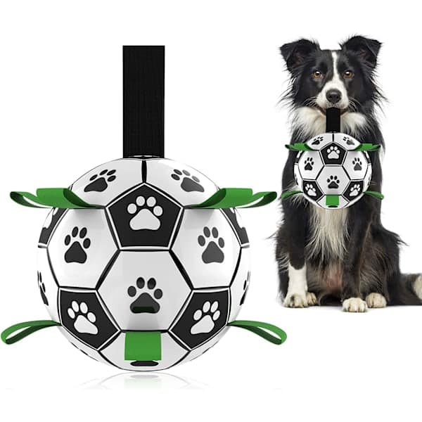 Hundelegetøj, interaktive hundefodbolde med gribeflapper, holdbare hundebolde til små og mellemstore hunde