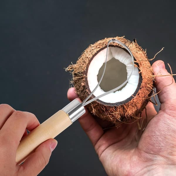 Coconut Meat Removal Tool with Scraper Scales and Easy-to-Clean Synthetic Material