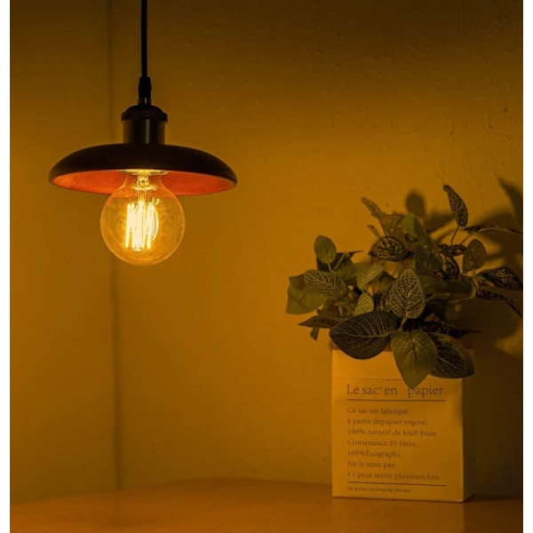 4-pack Vintage Edison Light Bulbs - Warm Light 40W G80 E27