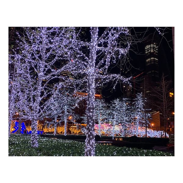 Solar LED String Light Christmas Decoration Lantern Flashing Star String Light Outdoor Waterproof Cold White? 5M 20 Lights