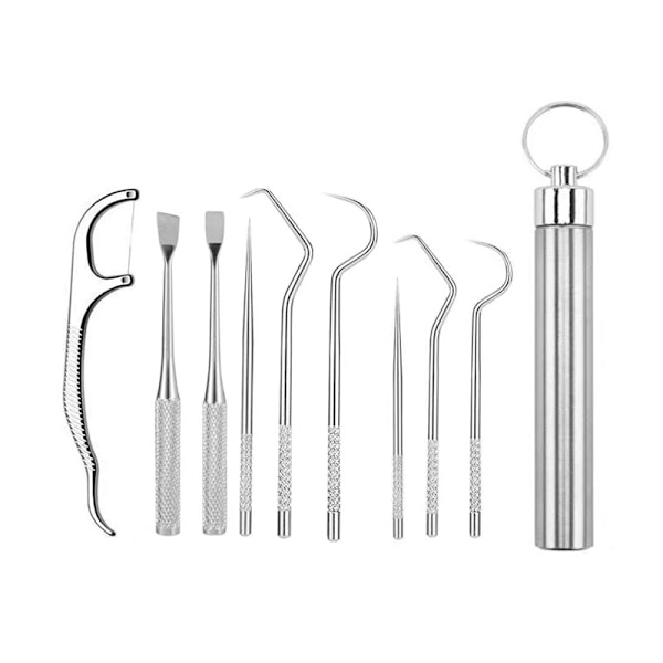 9 PCS/Set silvery Toothpick and earpick 2 in 1 Tools,Curette Convenient Multifunctional Metal Toothpick