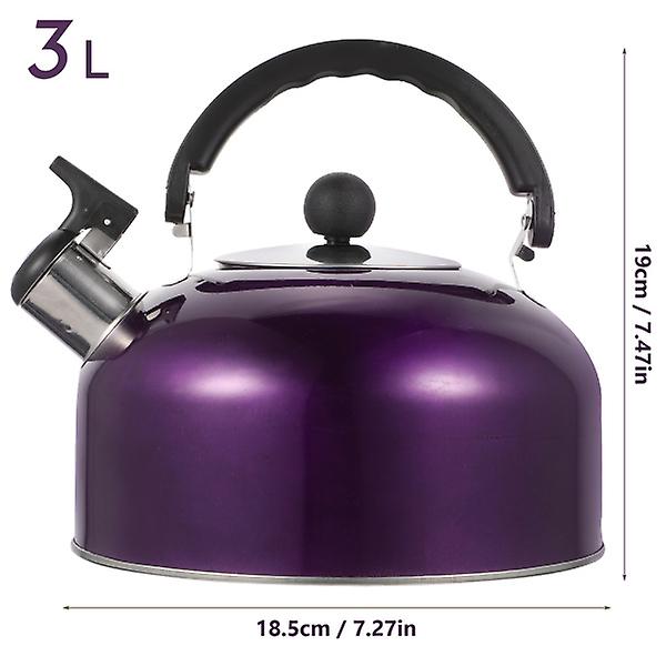 Ruostumattomasta teräksestä valmistettu vedenkeitin Kotikäyttöön Vedenkeitin Vihurikeitin Kotiin (3l) Violetti 18.5X18.5X Purple 18.5X18.5X19CM