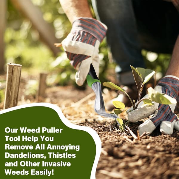 Handheld Weeding Tool, Weeder for Garden, Weeding Digging Tool with Ergonomic Handle for Weed Control and Farmland Transplantation