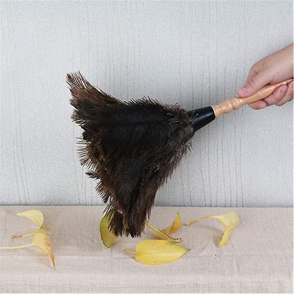 Fjerduster til hjem og kontor - Naturlig strudsefjer, 32 cm